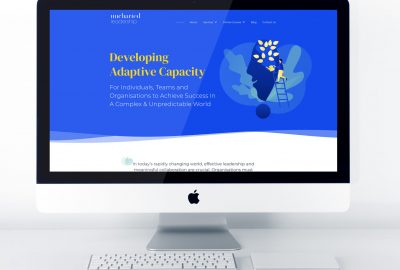 website design & development